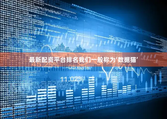 最新配资平台排名我们一般称为‘数据猫’