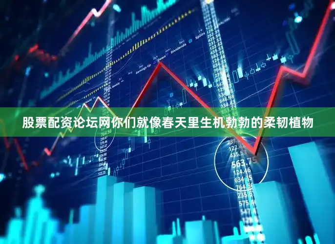 股票配资论坛网你们就像春天里生机勃勃的柔韧植物