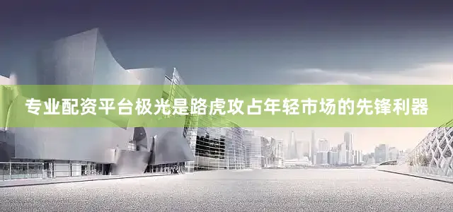 专业配资平台极光是路虎攻占年轻市场的先锋利器